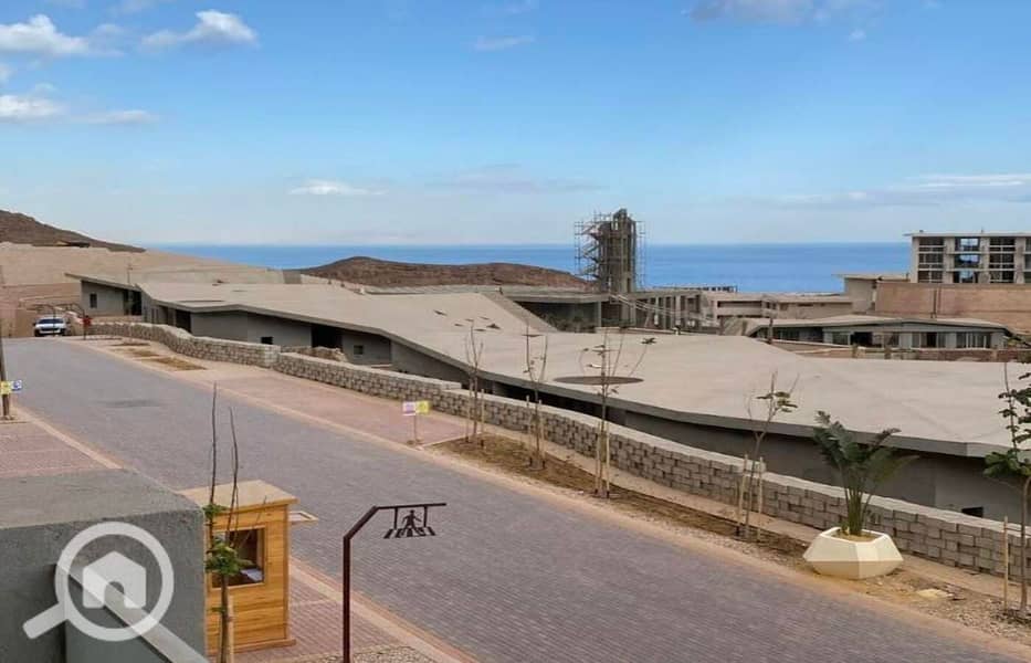 14 545809147_2956223227892972_6347170602067623642_n. jpg