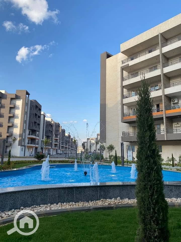 11 548003243_767258836357096_6553007739612214974_n. jpg