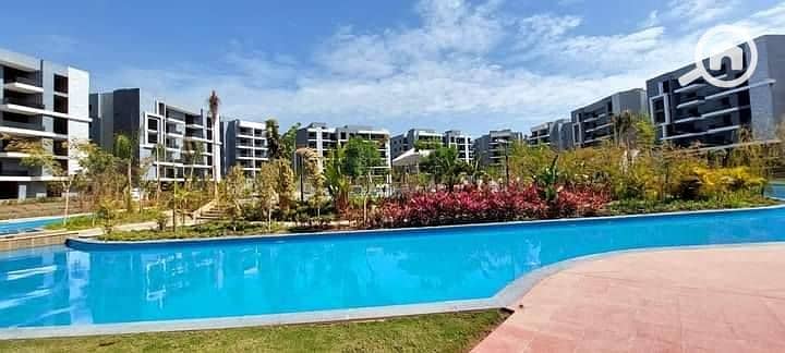 8 547404524_768117086271271_9175773016189296290_n. jpg