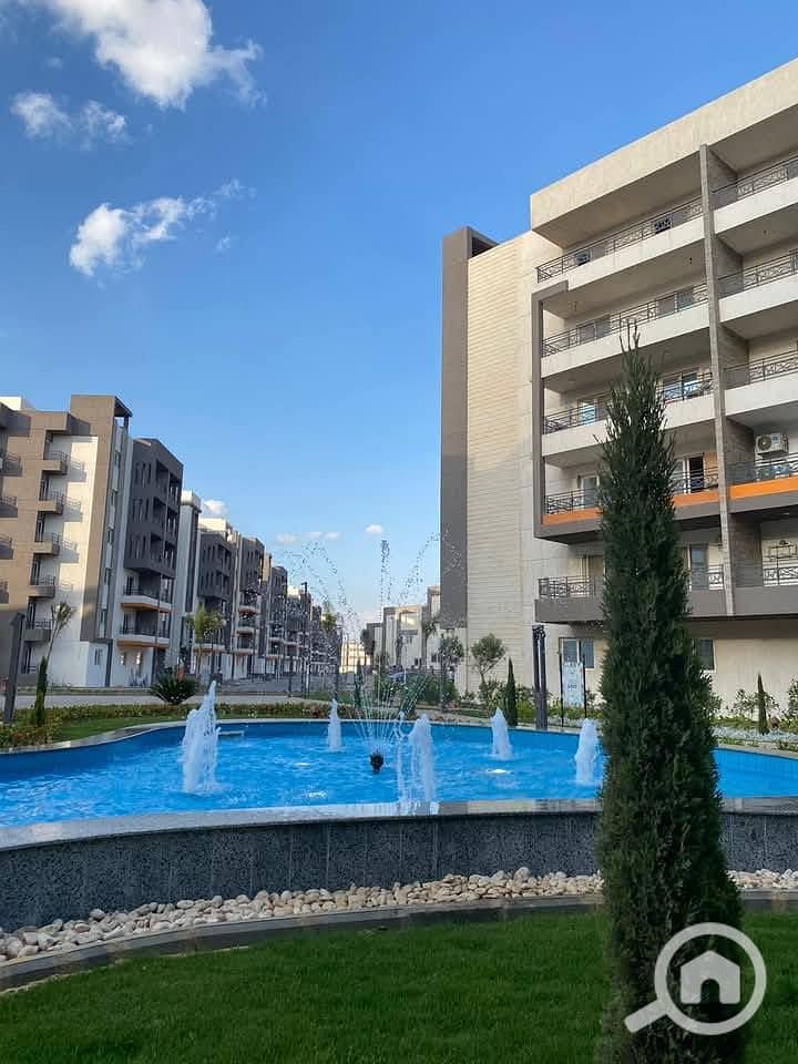 11 548003243_767258836357096_6553007739612214974_n. jpg