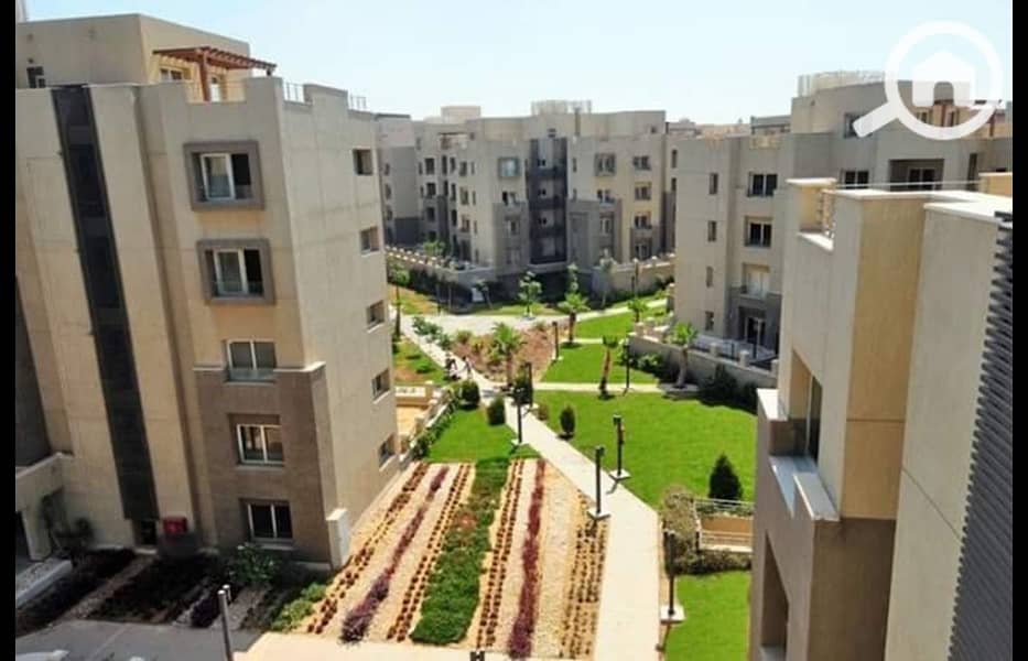 5 480640293_1223056036496597_641924194640850321_n. jpg