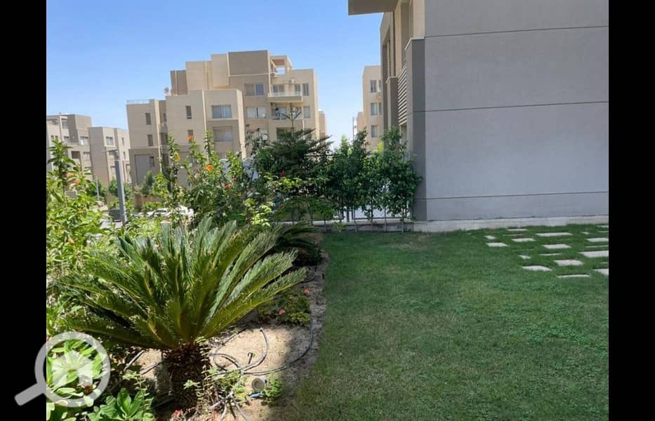 7 481236505_1232502228885311_452607781031762181_n. jpg