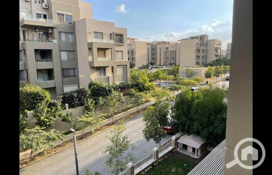 8 481248103_1231828218952712_1912803894645846904_n. jpg