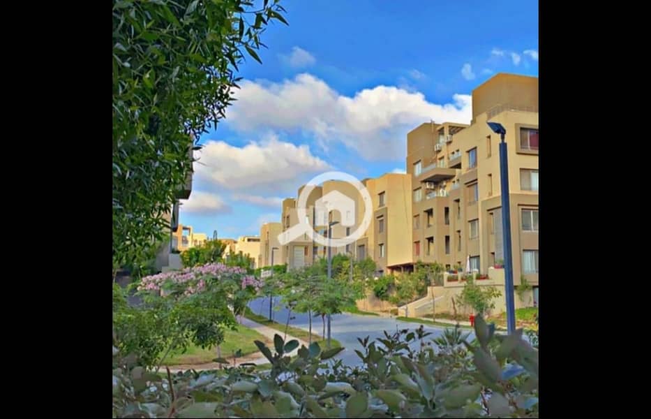 9 482029406_1240656578069876_1447297489258944994_n. jpg