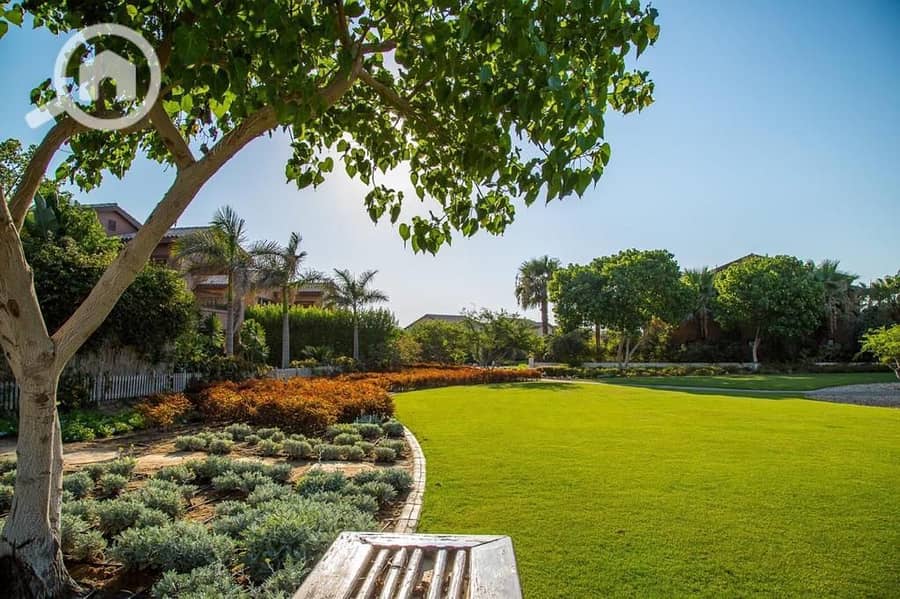 7 WhatsApp Image 2025-09-29 at 15.37. 37_dd9271f8. jpg