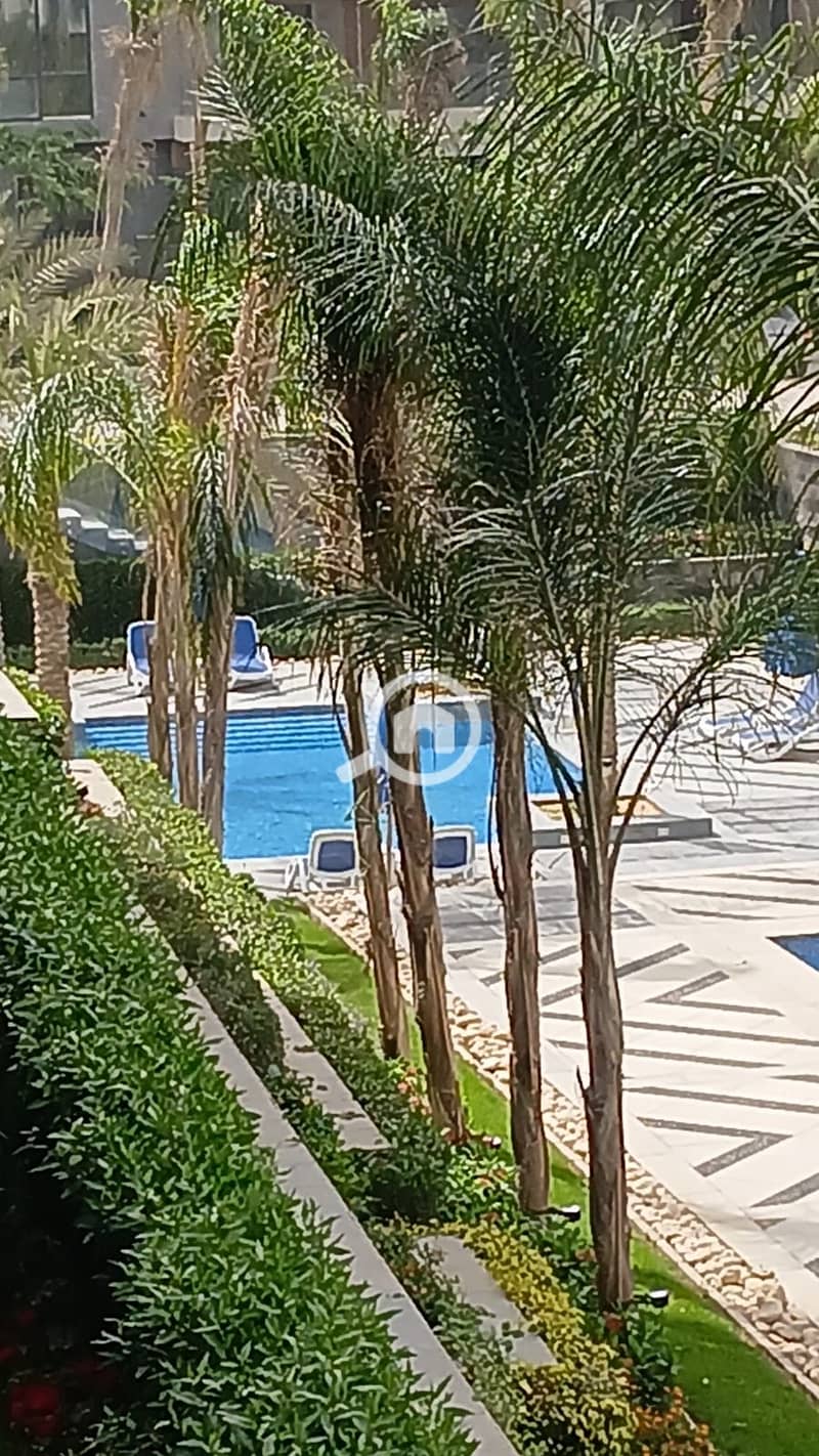 4 3ed77a27-df38-470c-9928-938fbdbbd33d. jpeg