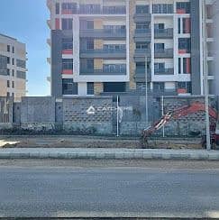 4 2021-01-08 (3). jpg