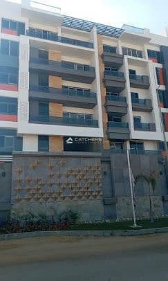 6 2021-01-08 (5). jpg