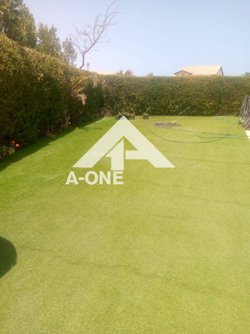 10 fcedb96c-575f-4b0f-b7fe-824c542d4e58. jpeg