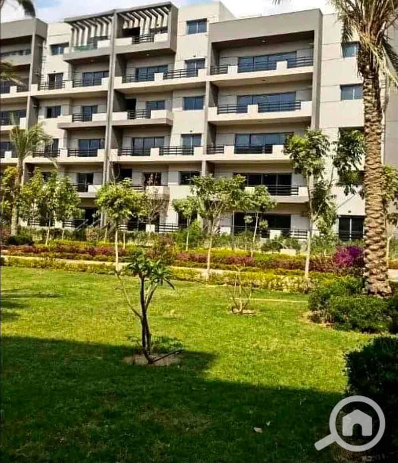 IMG_9924. jpg IMG_9924. jpg