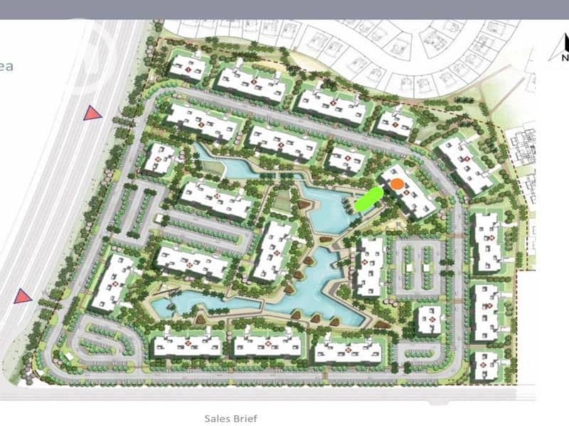 3 WhatsApp Image 2025-11-07 at 21.16. 45_7e487183. jpg