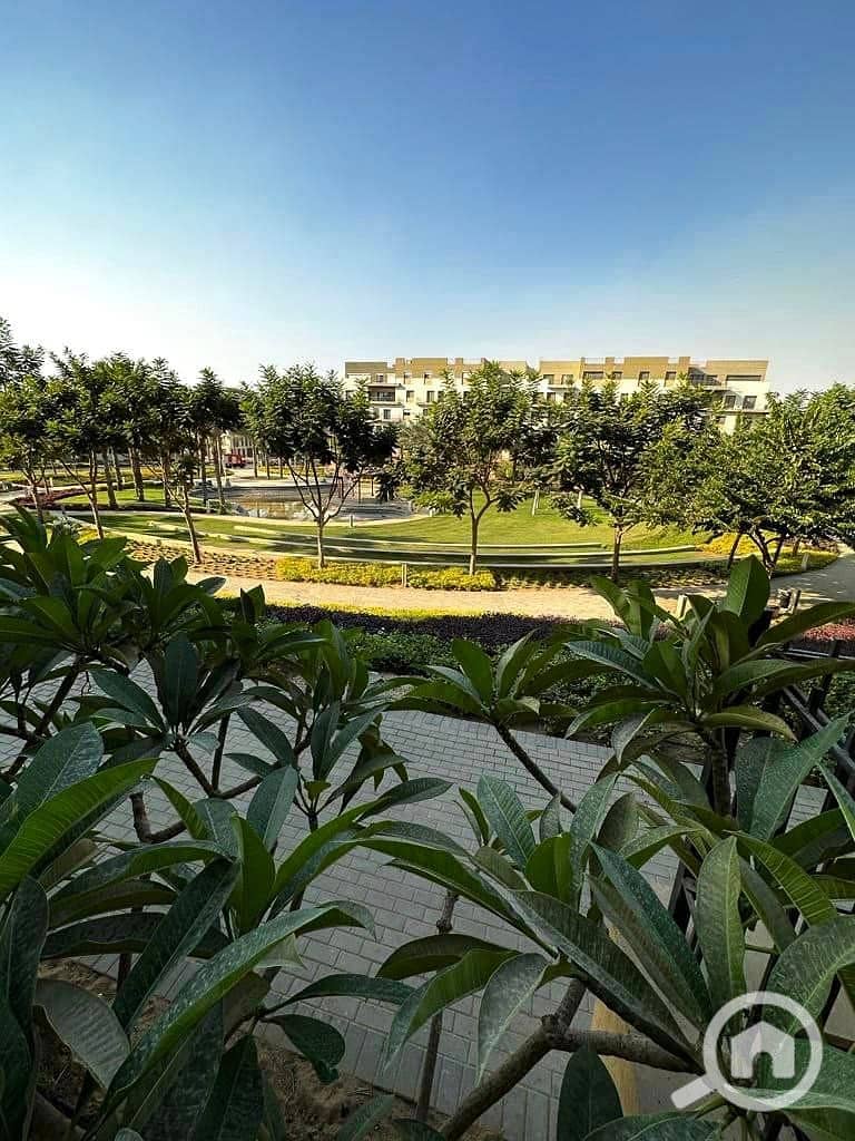 10 406661362_218545877939078_6060371736024900494_n. jpg