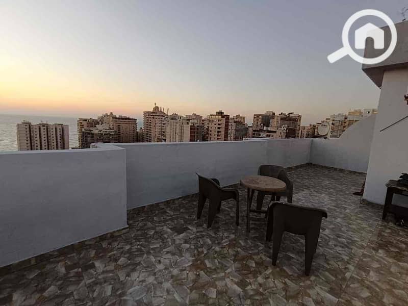 6 2975e77b-3410-4fc3-bd03-1566cf26d9e6. jpg