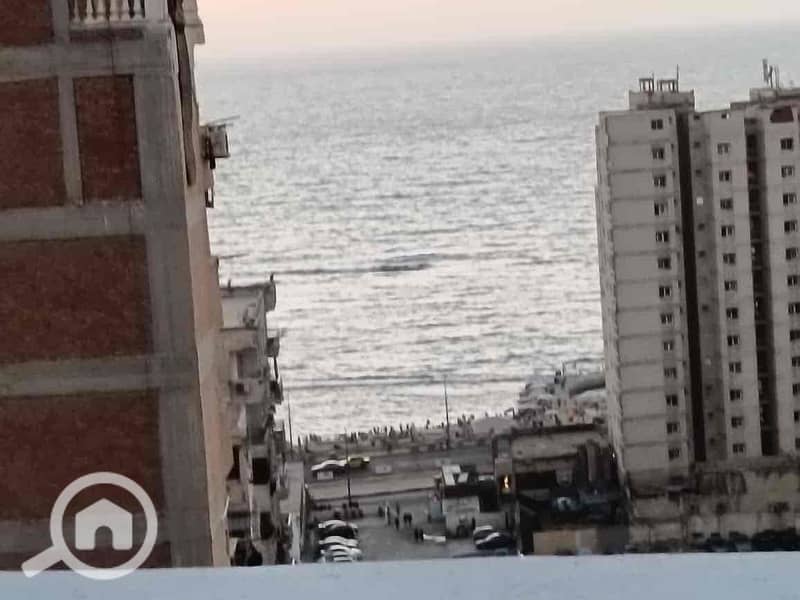 13 cb566162-0dce-45e8-8956-77c4b0a7911c. jpg