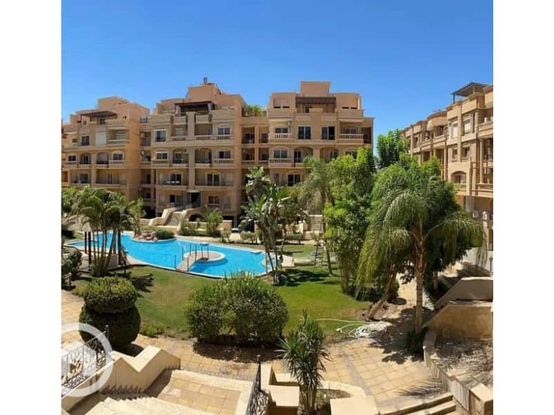 4 ab817abb-8d5d-4ee1-9b30-b9a56eed7b87. jpg