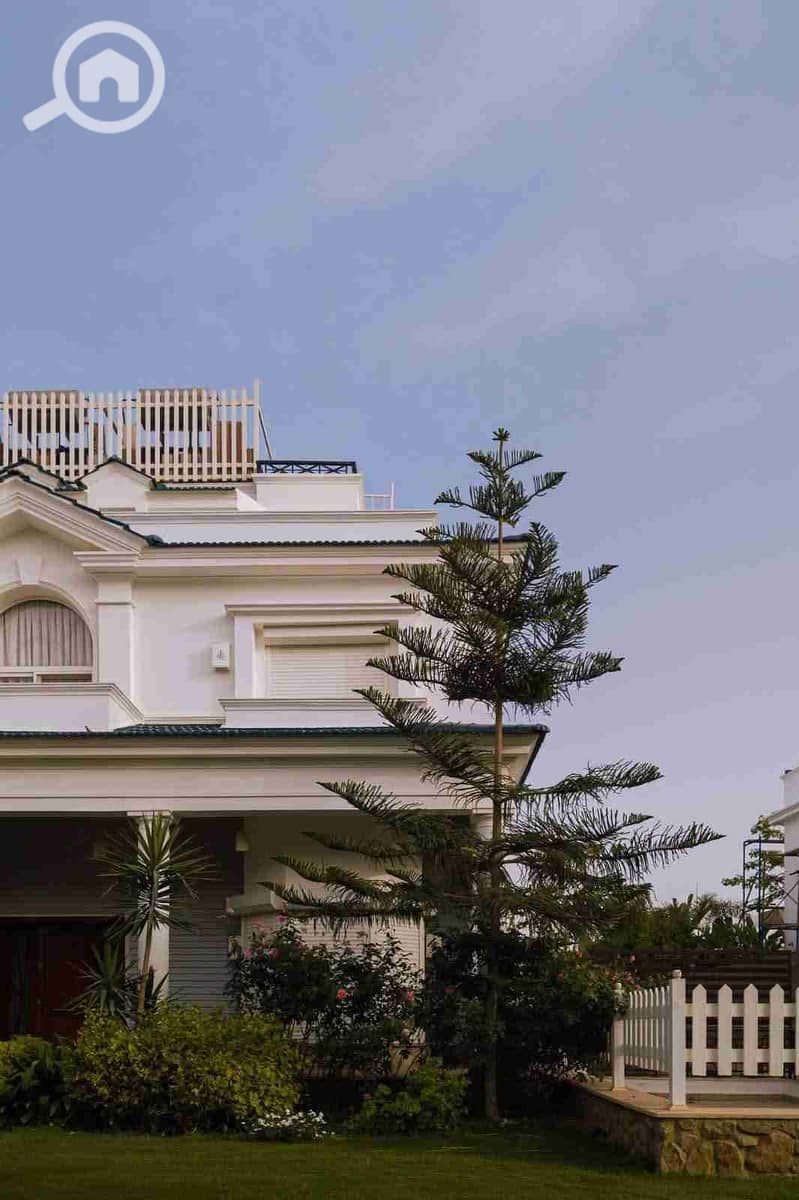 1000408645. jpg 1000408645. jpg