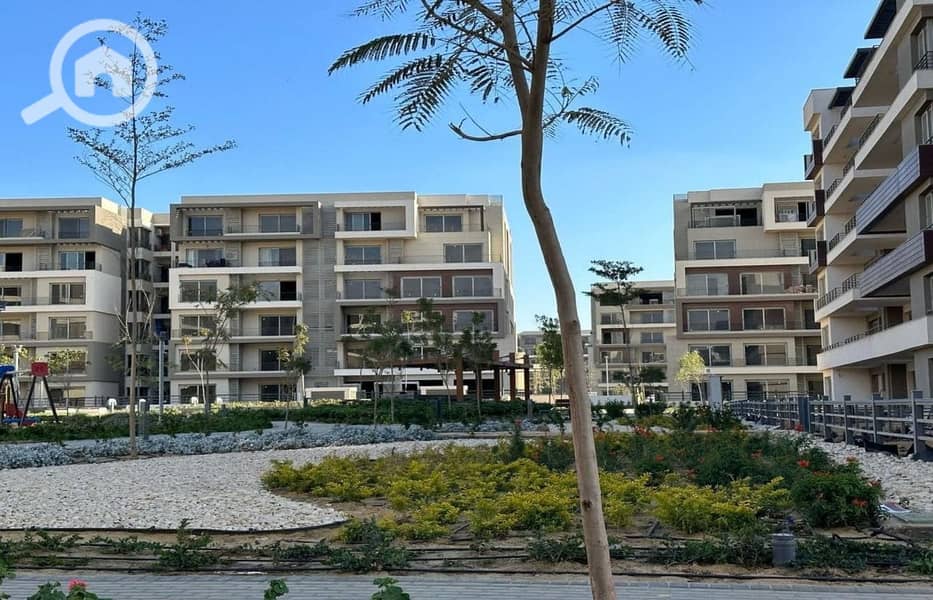 5 447889251_2535704566576457_7434083275577372958_n. jpg