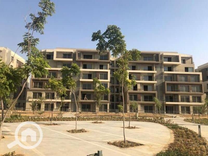 10 3726481-1da47o (1). jpg