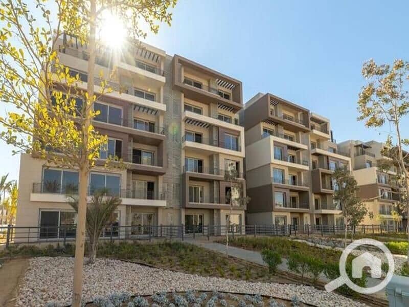 3 3715832-874ddo (2). jpg