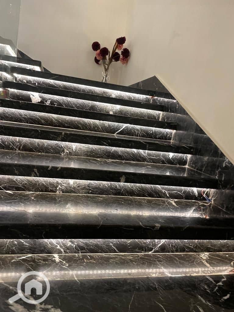 9 photo_7_2025-11-08_01-21-49. jpg