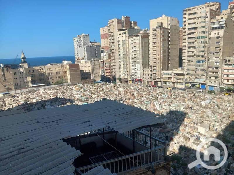 4 bd434ec0-7494-4e1f-8d12-c661802f3541. jpg