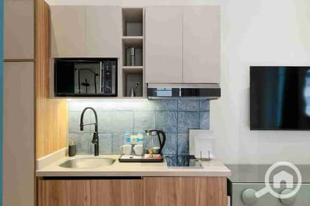 Hotel Apartment for Rent in Zamalek, Cairo - 1000104602. jpg