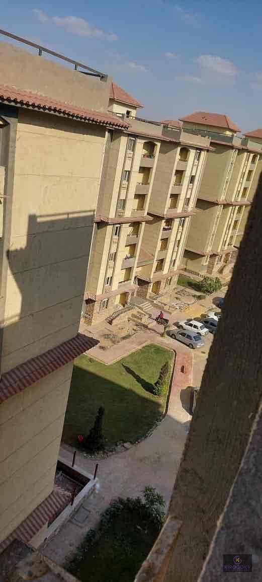 5 51854440-046c-446f-a1e8-fee8a44c9652. jpg