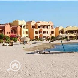 6 534610948_2895896807264603_684865110356651752_n. jpg