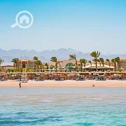 7 571124892_828612133154637_1208330093430155867_n. jpg