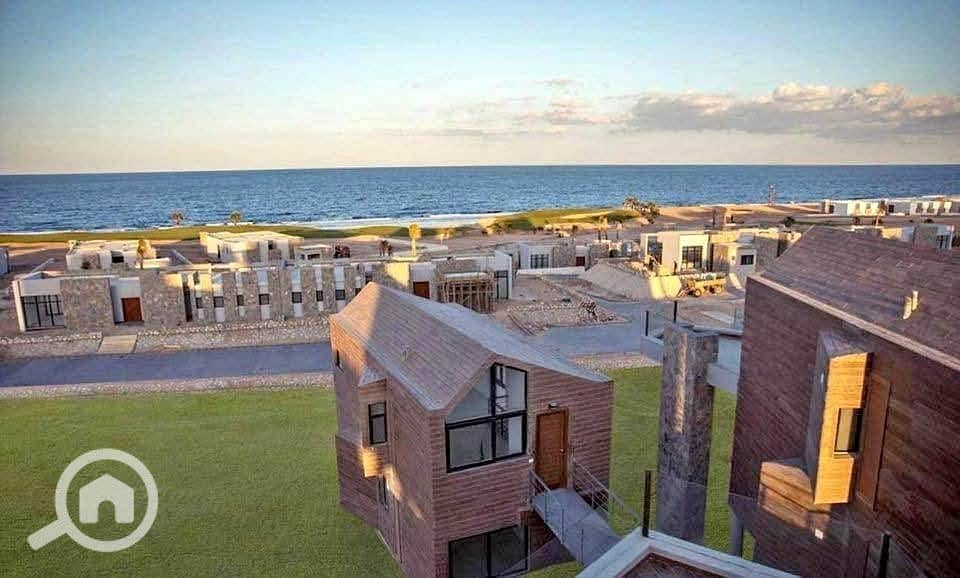 11 523499615_1680262852487645_4380982669900704105_n. jpg