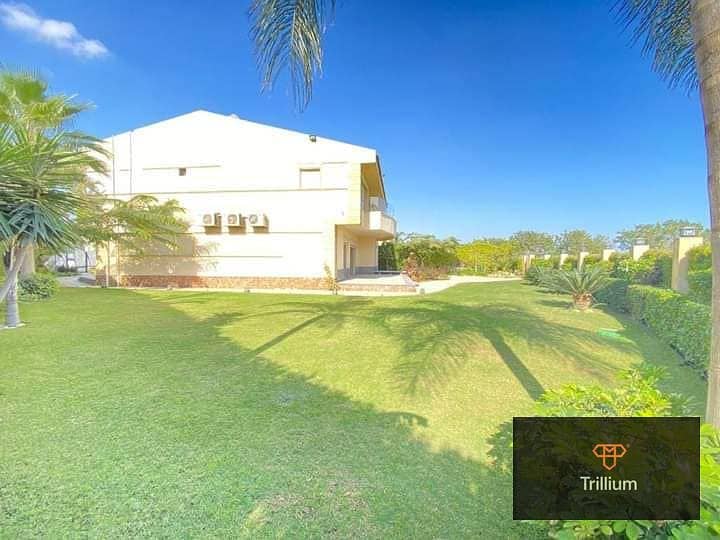 13 479722608_1156247109411190_2055248783552715192_n. jpg