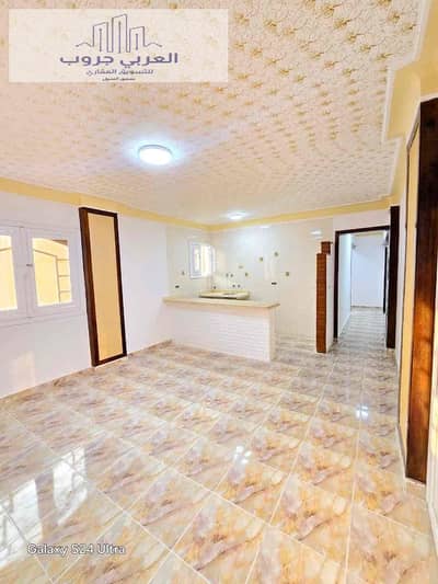 فلیٹ 2 غرفة نوم للبيع في النخيل، الإسكندرية - fe31ae2f-31dd-4916-a77d-0b3880e3f3ed. jpg