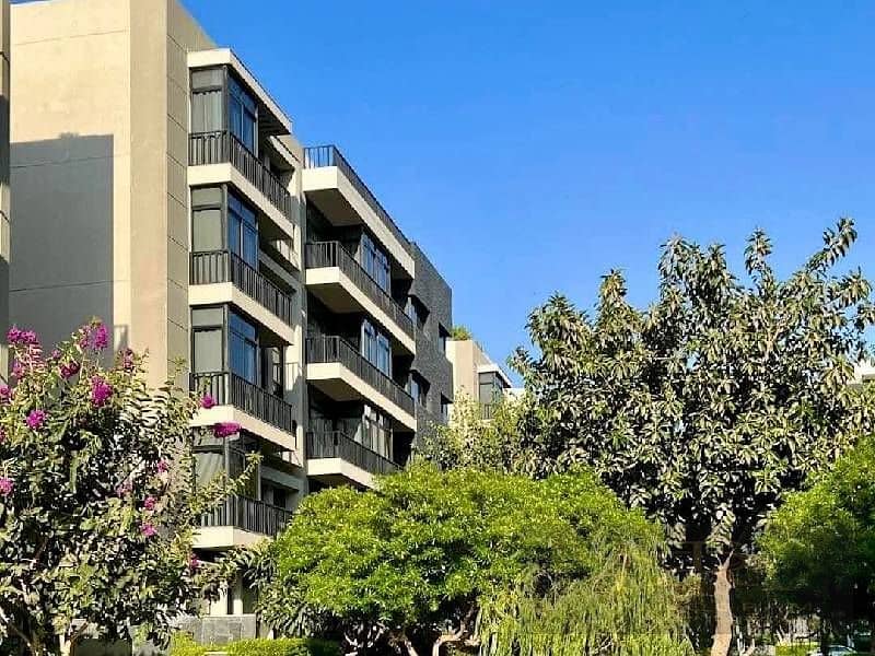 3 New Project (55). jpg