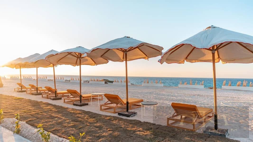 8 WhatsApp Image 2025-11-04 at 15.11. 56_9df97a6a. jpg