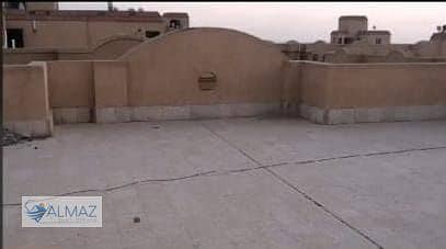 3 WhatsApp Image 2025-11-08 at 10.25. 27 AM. jpeg