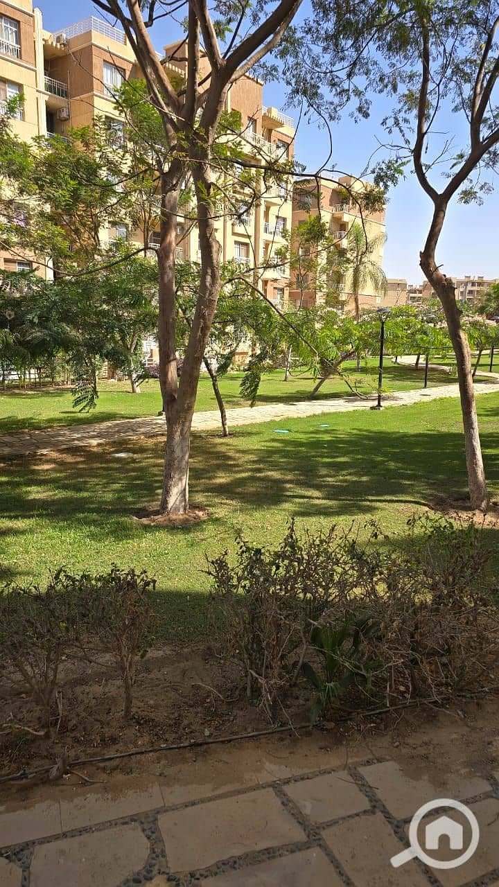 4 a5ce31b1-a40b-49b3-b59a-c21822b8e671. jpg