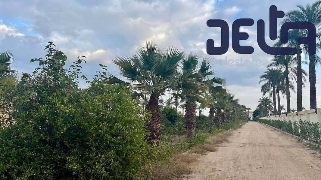 2 565339507_1203453345307806_5327671710280425432_n. jpg