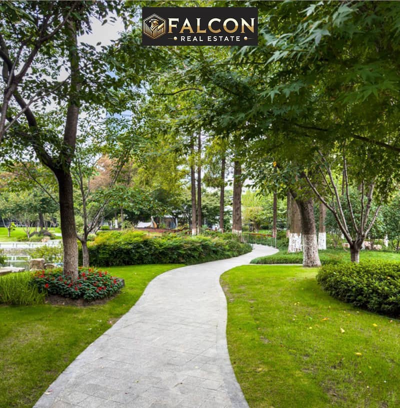 4 577099035_24697232856645087_8150472336021466839_n. jpg