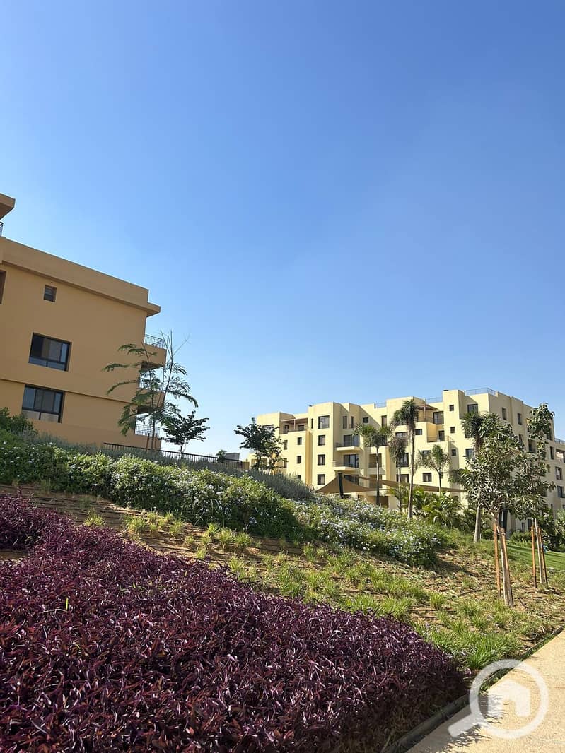 10 557738589_4114944725429689_2599368503087339140_n. jpg