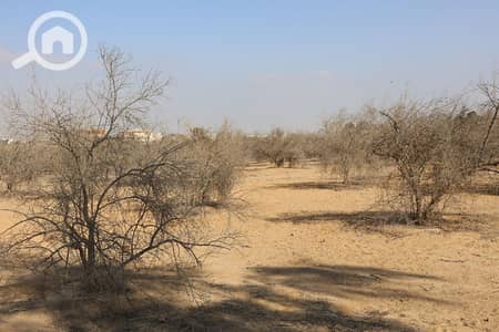 Residential Land for Sale in Sheikh Zayed, Giza - 1. jpg