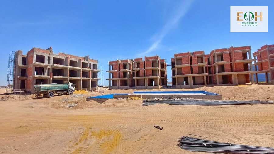 11 WhatsApp Image 2025-07-08 at 19.39. 59. jpeg