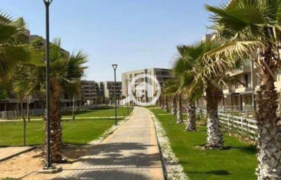 2 WhatsApp Image 2025-10-16 at 11.31. 35 AM. jpeg