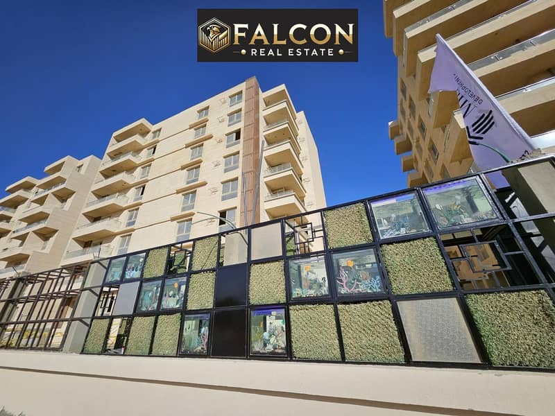 4 WhatsApp Image 2025-11-05 at 15.49. 38_eec15bb4. jpg