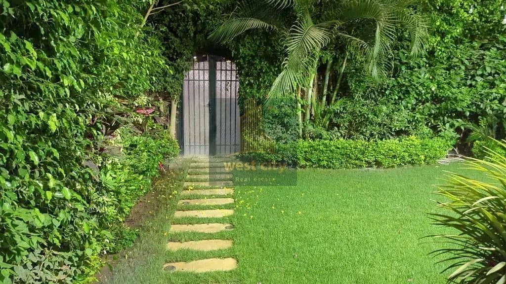 8 1762593368893. jpg