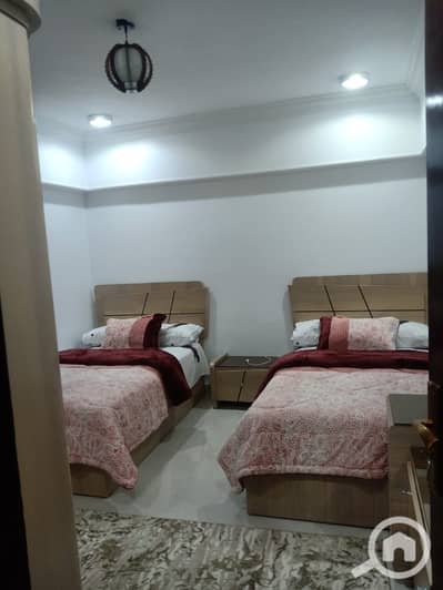 2 Bedroom Apartment for Rent in Nasr City, Cairo - 1000004404. jpg