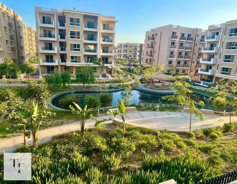 5 119865e1-1e10-4895-9e01-43b7d2b8987b. jpg