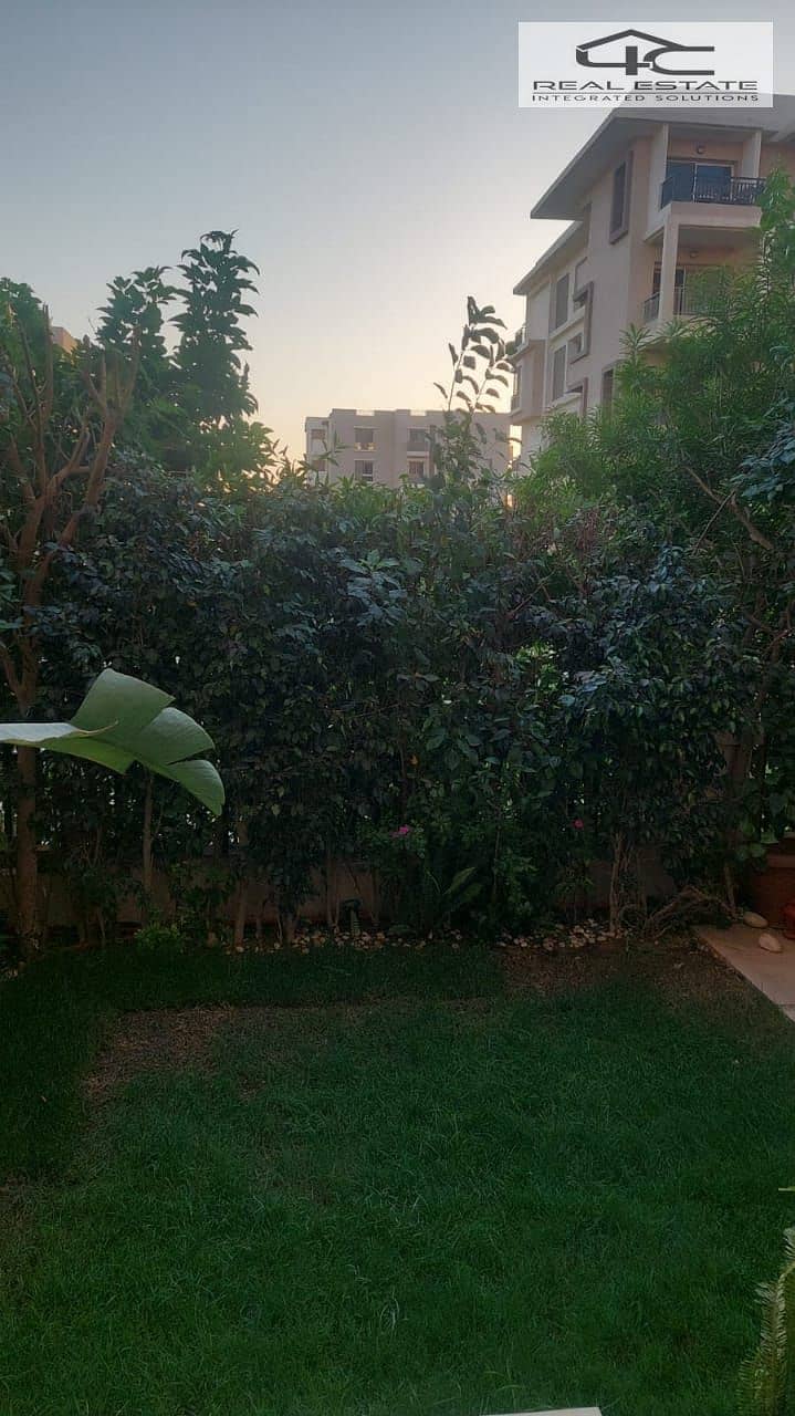 2 WhatsApp Image 2025-11-08 at 3.47. 40 AM. jpeg