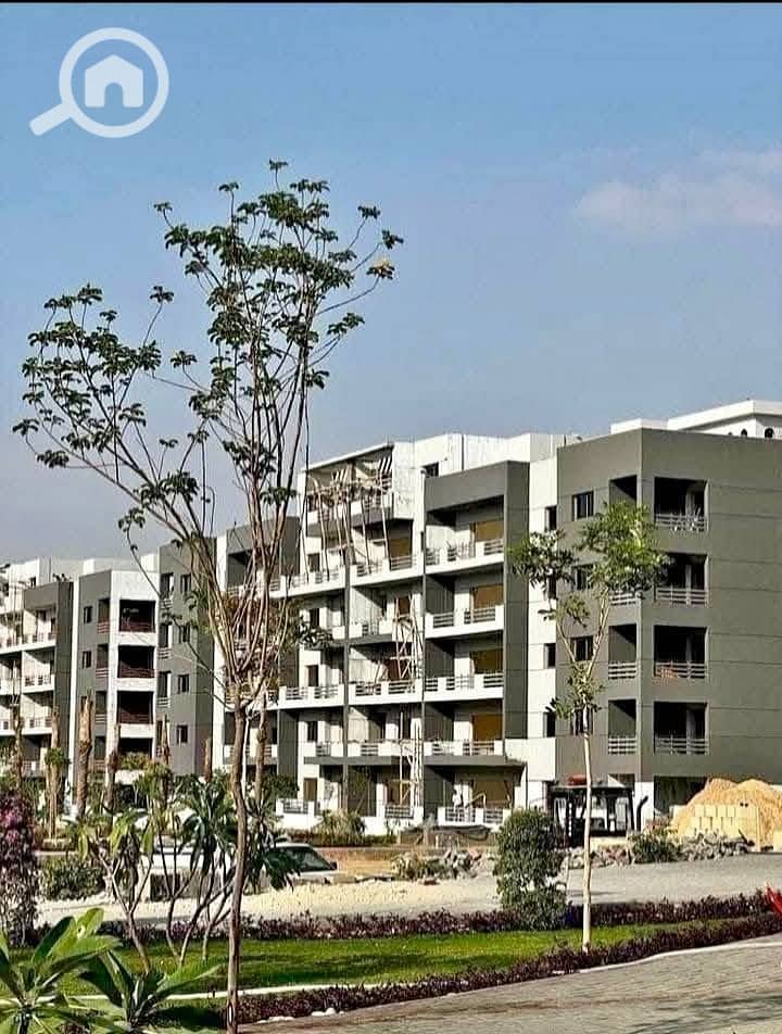 491989876_1738795820398583_764103319095689187_n. jpg 491989876_1738795820398583_764103319095689187_n. jpg