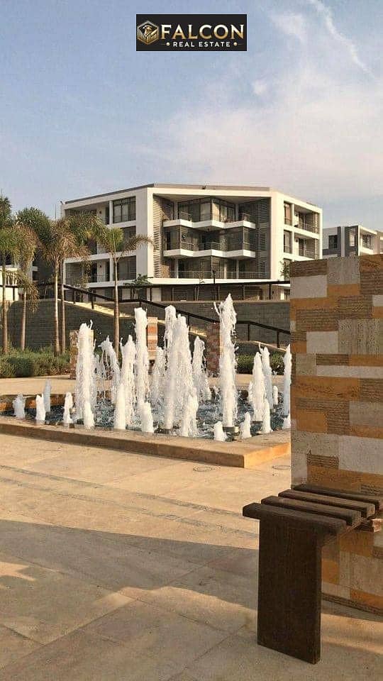 10 422253589_918311529956960_2287071106914826873_n. jpg