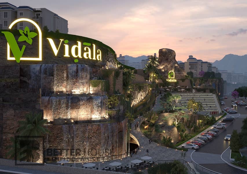 9 RC6 night copy. jpg